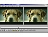 VirtualDub 1.7.5 AMD 64Bit